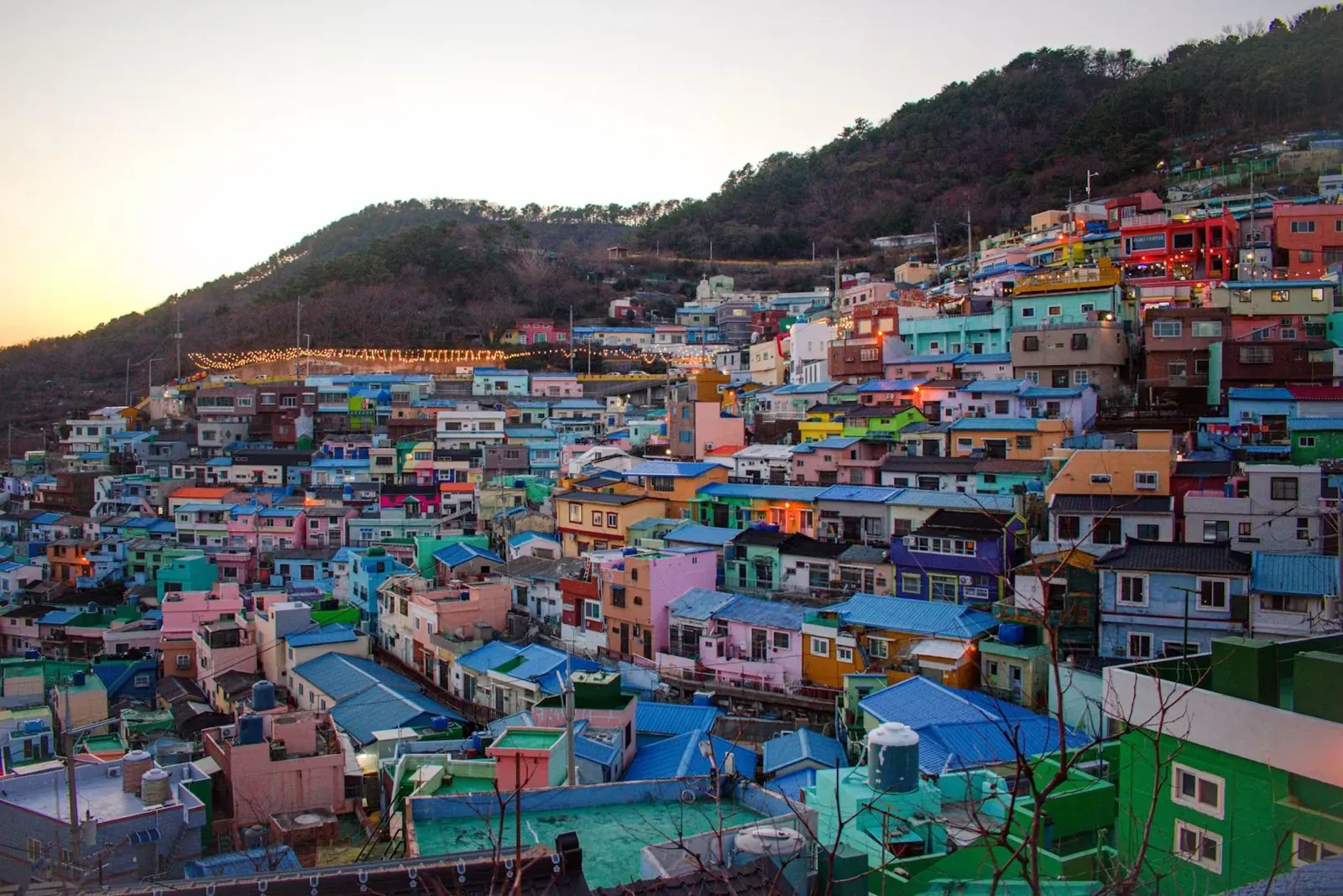Busan hillside neighborhood and coastline