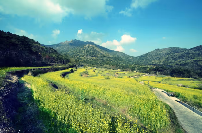 Dumo Village countryside