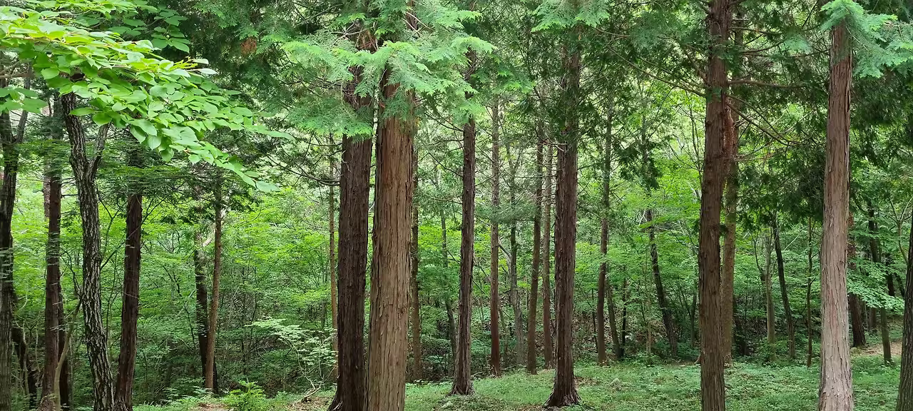 Namhae scenic landscape