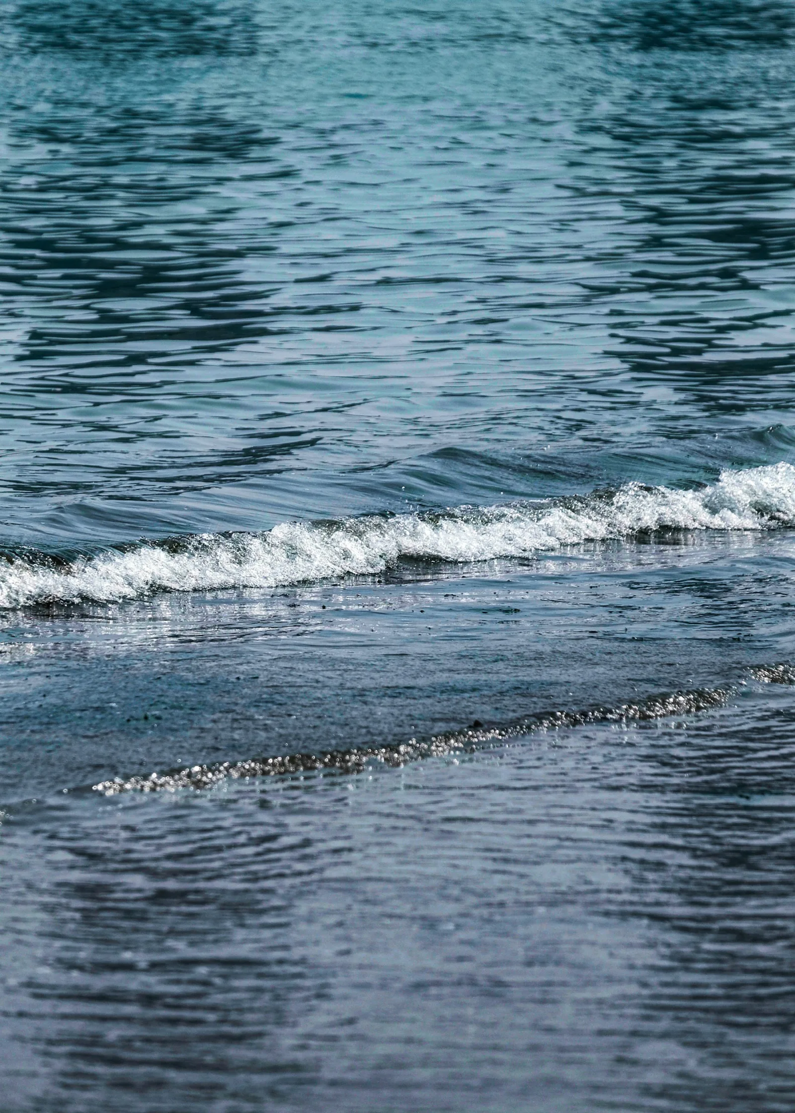 A wave breaking on the Busan coast